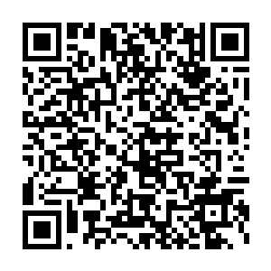 这些人类村庄成员或者其先人大部分都是被流放到死域过来的死刑犯二维码生成