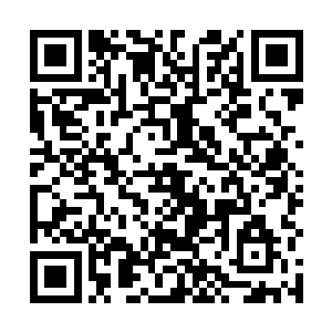 这些人自然就是吴虎臣以及李月茹手下的那些兄弟们了二维码生成