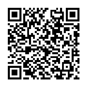 这些人要是留给你们天知道你们会如何的糟蹋他们二维码生成