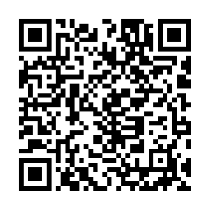 这些人都是他在东京花大价钱收罗的身手矫健的江湖人士二维码生成