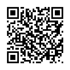 这些人都是连百强论战都没有通过的废物二维码生成