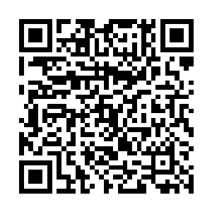 这些人都知道里面的这个老人和丁长生没有多大的关系二维码生成
