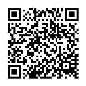 这些人里面恐怕有一大半是冲着她身后的势力来巴结讨好的二维码生成