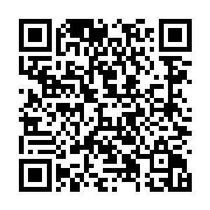 这些人里面较为让秦方比较注意的也只有这么两位二维码生成