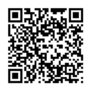 这些仙子是我们从整个鹤云家族的暗线中千挑万选出来的二维码生成