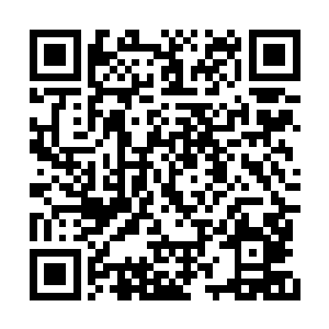 这些仿佛有生命的魔气竟展现出极为慌乱的动态二维码生成