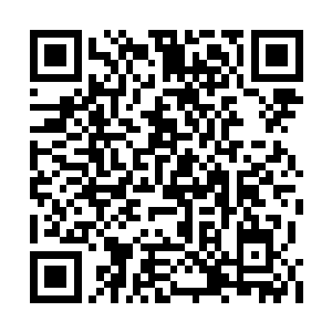 这些会员和贵宾如果都对拍卖行产生了负面情绪二维码生成