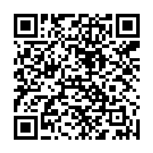 这些信徒在要求这些无角人信仰祖神和他们的神子默后二维码生成