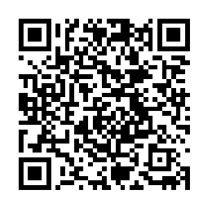 这些修士安静而有序地一个个取出一颗万解丹服下二维码生成