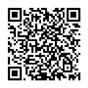 这些修士此时对星辰冒险团的主要成员也都有了一个了解二维码生成