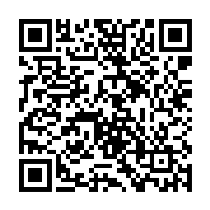 这些修士自然也就不能来替补魔道修士留下的缺口了二维码生成