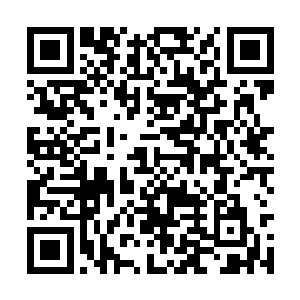 这些修真者的实力大部分都被杨晨他们的要低一些二维码生成