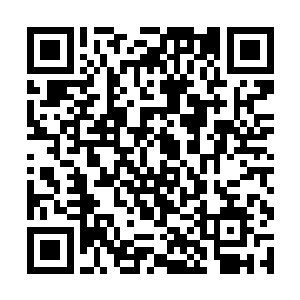 这些修行者里明显有些是前来给晚辈弟子压阵的强者二维码生成