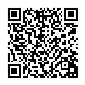 这些傀儡几乎是她将所有能用来炼制傀儡的材料全部都用上了二维码生成