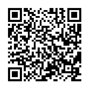 这些农兵正在低级武士和战兵的管束下乖乖的站着看场中的比划二维码生成