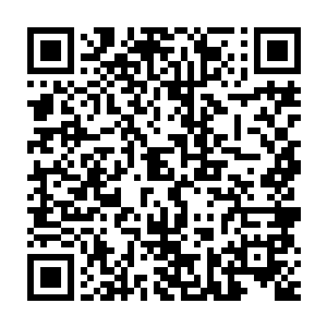 这些冰虫巢穴已经说明了很多东西――有人不希望任何人跨越这座雪山二维码生成