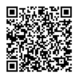这些冲出来的花衬衫的确是得竭尽全力的保证这些黑西装不要冲进去二维码生成