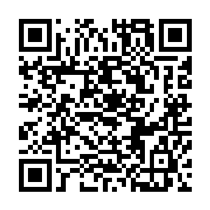 这些净化者的确没有将唐卡这个十三四岁的大男孩放在心上二维码生成