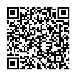 这些几乎是不得不留下来的病人们在短暂茫然后就是狂喜二维码生成