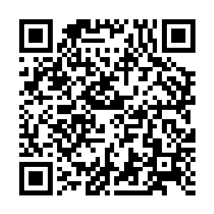 这些剑丸都是以记忆性极强的柔性金属和液态合金炼制而成二维码生成