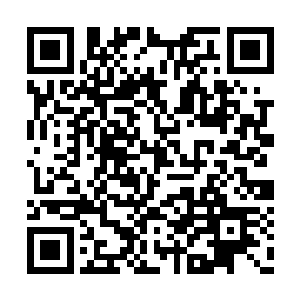 这些势力领袖是被我留在昊天域界内进行观礼的二维码生成