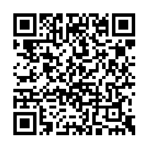 这些千机门弟子当下毫不犹豫朝着林烽冲了过来二维码生成