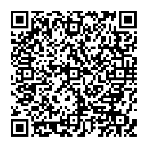 这些单位部门也希望能有这样一个机会把各部门单位在这一次文艺表演中的情况做一个简要介绍二维码生成