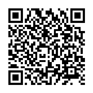 这些历史不用保留着一副棺材以及一具无耻的干尸来纪念的二维码生成