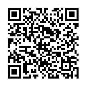 这些历经数千里长途奔袭的狼骑根本没有资格充当主力二维码生成
