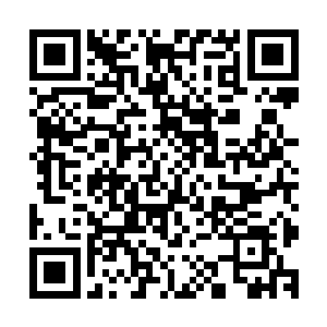 这些原本从费南各个种族中走出来的强者欢天喜地地离开费南二维码生成