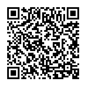 这些原本在苏家碌碌无为又有点好吃懒做的年轻人才能展露出这样的活力来二维码生成