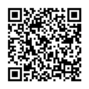 这些参赛选手雕刻出来的玉雕全部都归属主办方二维码生成