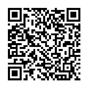 这些发言稿都得司南下亲自审核后才能向梁省长汇报二维码生成