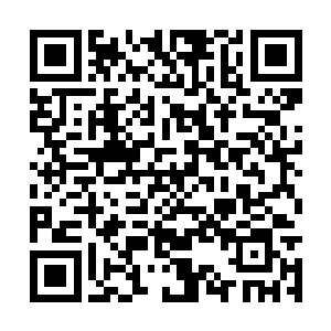 这些变异生物虽然没有在秦方的小地图上显示出来二维码生成