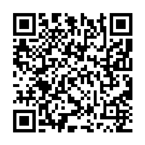 这些可怕的嗜血魔王是热带森林最可怕的生物之一二维码生成