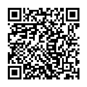 这些可怕的小东西便如同海潮一般迅速的覆盖在了影虎的身上二维码生成