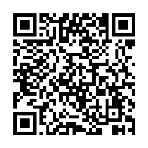 这些可怕的阴魂竟然都是这个大地守护者藏青的吃食二维码生成