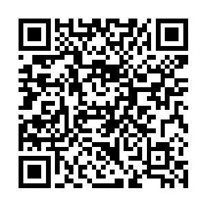 这些各不相同的世界和文明之中也随处可见人类的身影二维码生成