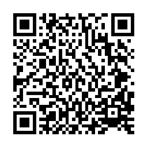 这些同僚们心境受到的冲击直接影响到了他们的工作信心和意志二维码生成