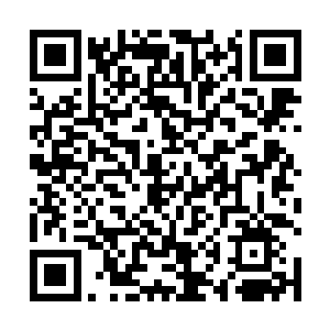 这些名字就被兴奋的歌迷们冠到了宇天的十一演唱会上二维码生成