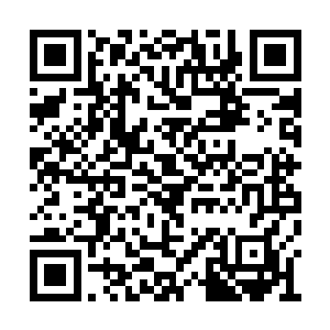 这些向来彼此视为死敌的生物们终于联合在一起二维码生成