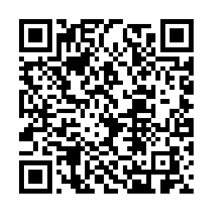 这些和她一起经历过琅琊镇之战的高阶炼气期弟子二维码生成