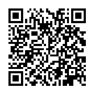 这些土生土长的原生智慧种族无疑是最好的途径二维码生成