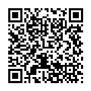 这些圣王行尸无论来多少都阻挡不了四人前进的步伐二维码生成