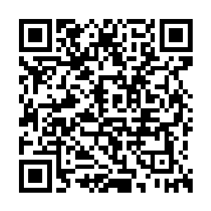 这些圣级混沌兽和域外天魔会亲自出手攻击大阵二维码生成