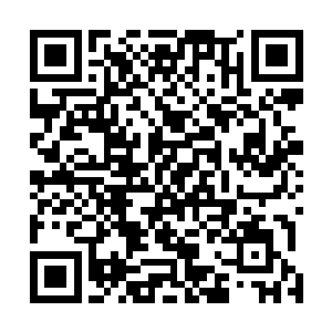 这些在神界里珍贵无比的丹药与灵材就像是漫天雪花一样二维码生成