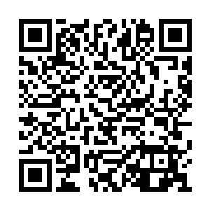 这些地方的领导也就没有机会在领导面前露脸了二维码生成