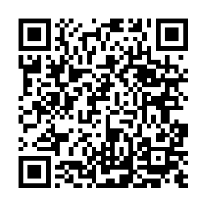 这些地火的价值比起普通的地火来说绝对不可同曰而语二维码生成