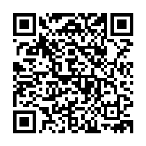 这些坚固韧密的气生根就会仿佛火柴棒那样咔嚓咔嚓的断裂干净二维码生成
