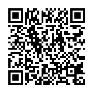 这些基本都是他的老师吉尔伯特大公一系的势力二维码生成
